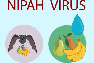 Where did Nipah virus start